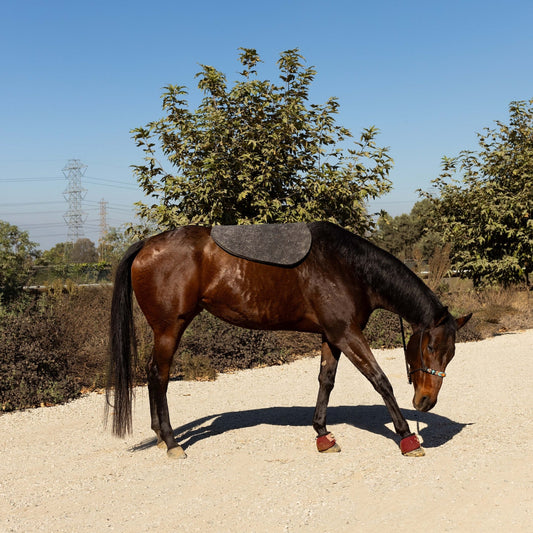 Saddle Pad